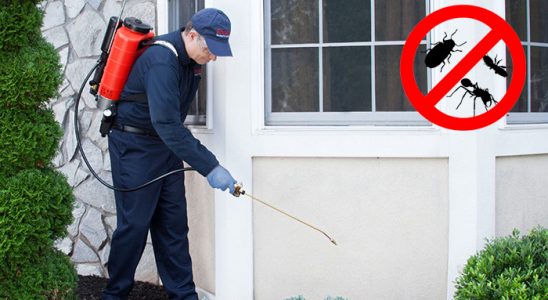 Savaştepe Kene İlaçlama böcek ilaçlama ve haşere kontrolü — ilaclama-tr.com